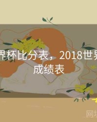 18年世界杯比分表，2018世界杯比分成绩表