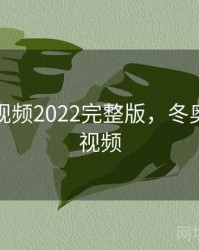 冬奥会视频2022完整版，冬奥会精彩视频