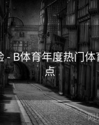 用户体验 - B体育年度热门体育赛事盘点