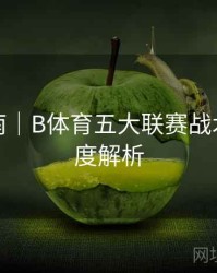 用户指南｜B体育五大联赛战术数据深度解析
