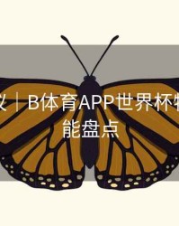 优化建议｜B体育APP世界杯特别版功能盘点