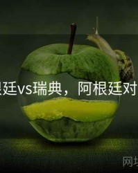阿根廷vs瑞典，阿根廷对瑞典