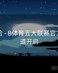 观赛体验 - B体育五大联赛官方解说频道开启