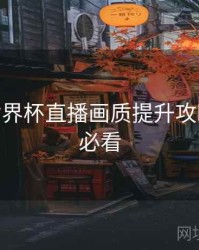 B体育世界杯直播画质提升攻略 - 新手必看