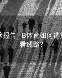 用户体验报告 - B体育如何选择最佳观看线路？