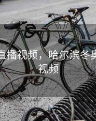 冬奥会直播视频，哈尔滨冬奥会直播视频