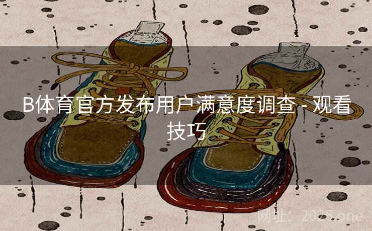 B体育官方发布用户满意度调查 - 观看技巧