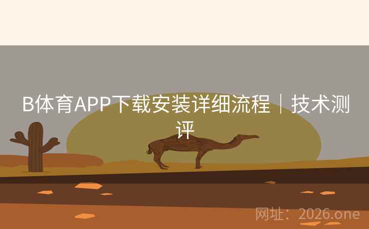 B体育APP下载安装详细流程｜技术测评