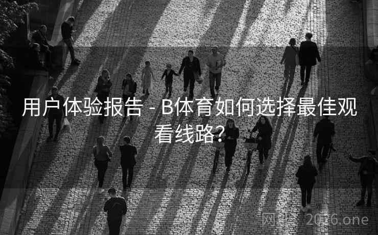 用户体验报告 - B体育如何选择最佳观看线路？