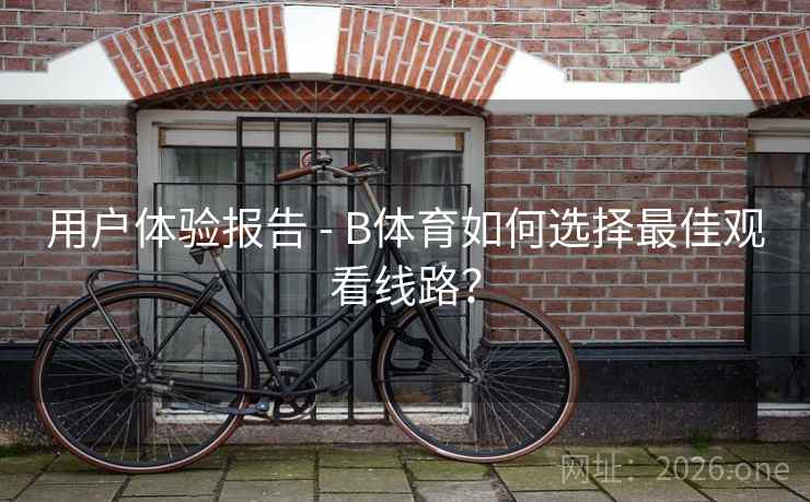 用户体验报告 - B体育如何选择最佳观看线路？