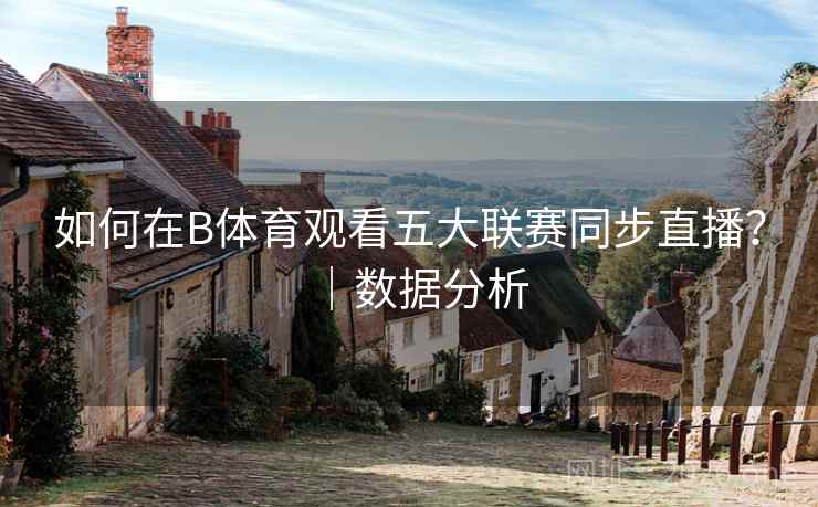 如何在B体育观看五大联赛同步直播？｜数据分析