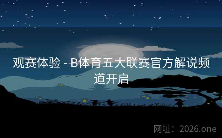 观赛体验 - B体育五大联赛官方解说频道开启
