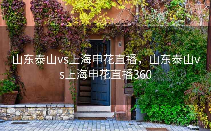 山东泰山vs上海申花直播，山东泰山vs上海申花直播360