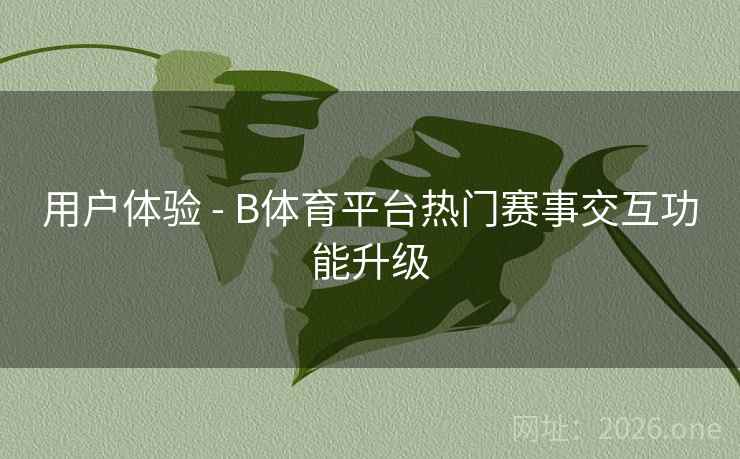 用户体验 - B体育平台热门赛事交互功能升级