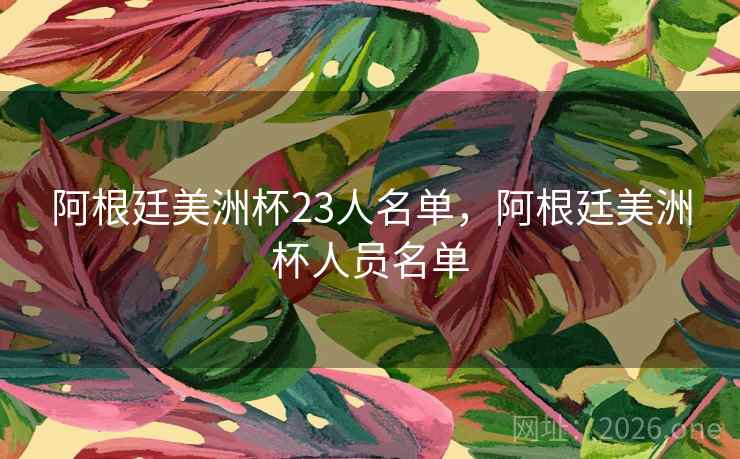 阿根廷美洲杯23人名单，阿根廷美洲杯人员名单