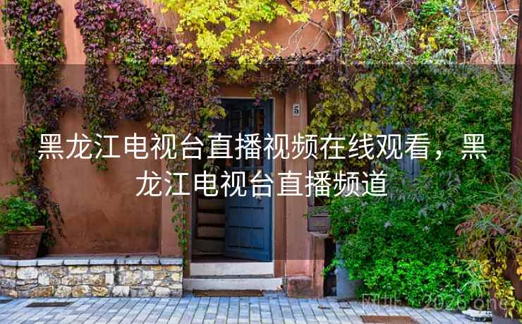 黑龙江电视台直播视频在线观看，黑龙江电视台直播频道