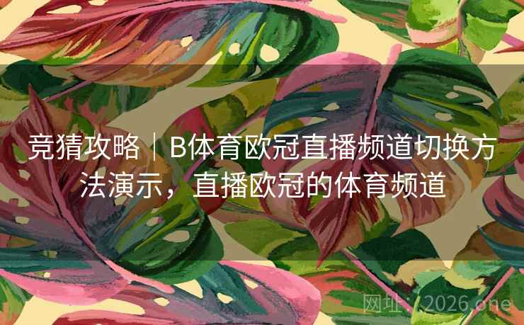 竞猜攻略｜B体育欧冠直播频道切换方法演示，直播欧冠的体育频道