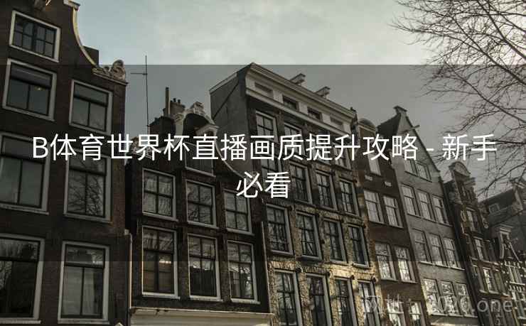 B体育世界杯直播画质提升攻略 - 新手必看