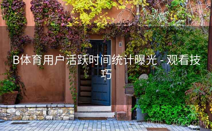 B体育用户活跃时间统计曝光 - 观看技巧