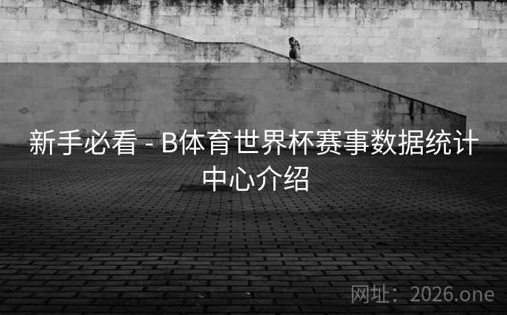 新手必看 - B体育世界杯赛事数据统计中心介绍