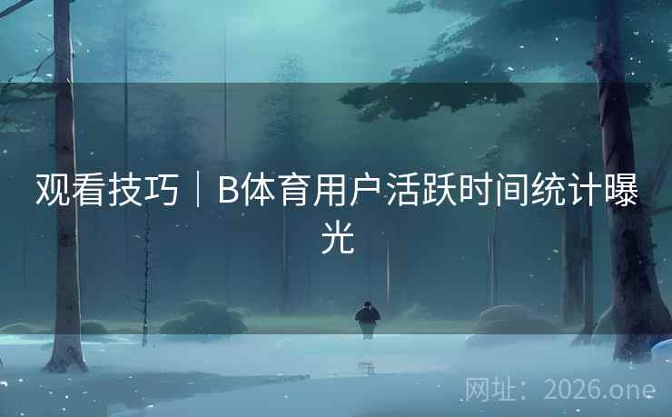 观看技巧｜B体育用户活跃时间统计曝光